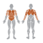 ABDOMINAL VERTICAL POWER Iron Kraft