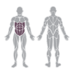 ABDOMINAL ESSENTIAL Iron Kraft