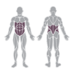 ABDOMINAL E LOMBAR DUAL ESSENTIAL Iron Kraft